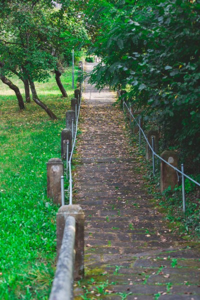 Park tidy up volunteers needed